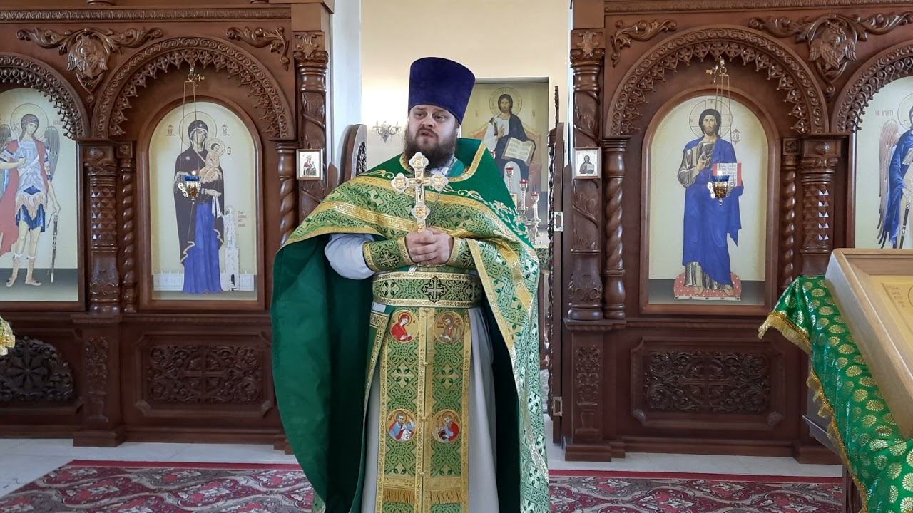 Священник Павел Курганов. Проповедь на Троицу