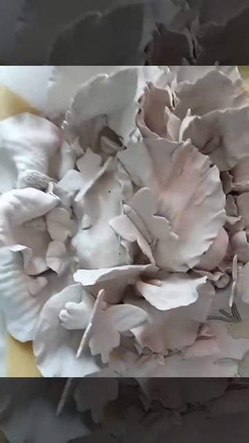 Создание Близнецов в Ирисах фарфора