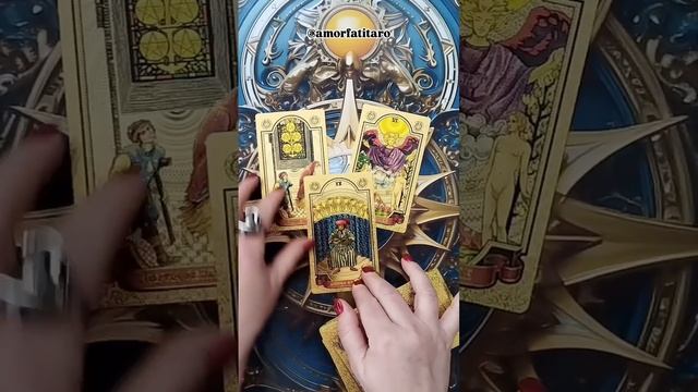 VID_20250211_113418_717.mp4