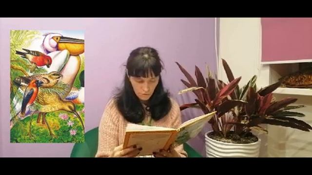 Громкие чтения. В. В. Бианки «Чей нос лучше_»