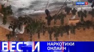 Вести Санкт-Петербург. Выпуск 11:30 от 11.02.2025