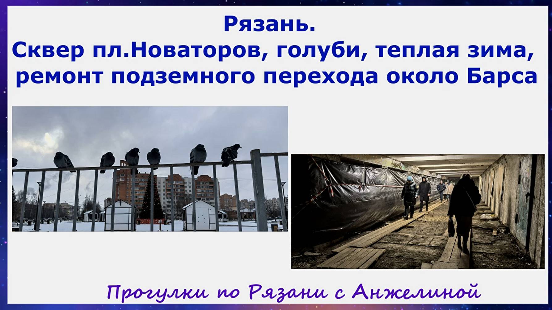 Рязань. Сквер пл.Новаторов, голуби, теплая зима, ремонт перехода возле Барса. С Анжелиной по Рязани