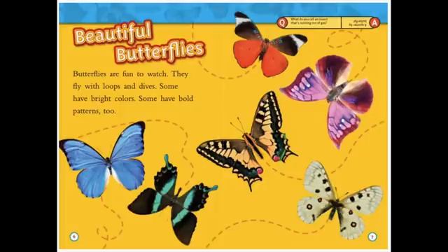 Preschool Videos - Circle Time, Songs, Reading, Movement and More - Learning Video (360p)