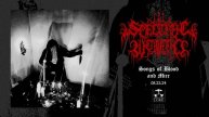 SPECTRAL WOUND - Aristocratic Suicidal Black Metal (official audio)