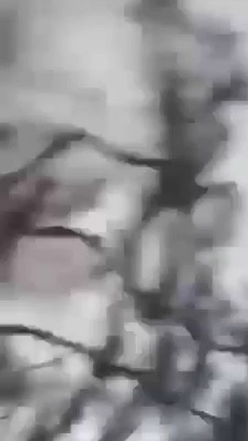 Танк ВСУ Т-72Б3 в упор расстрелял группу украинских солдат, дружеский огонь (видео от первого лица)
