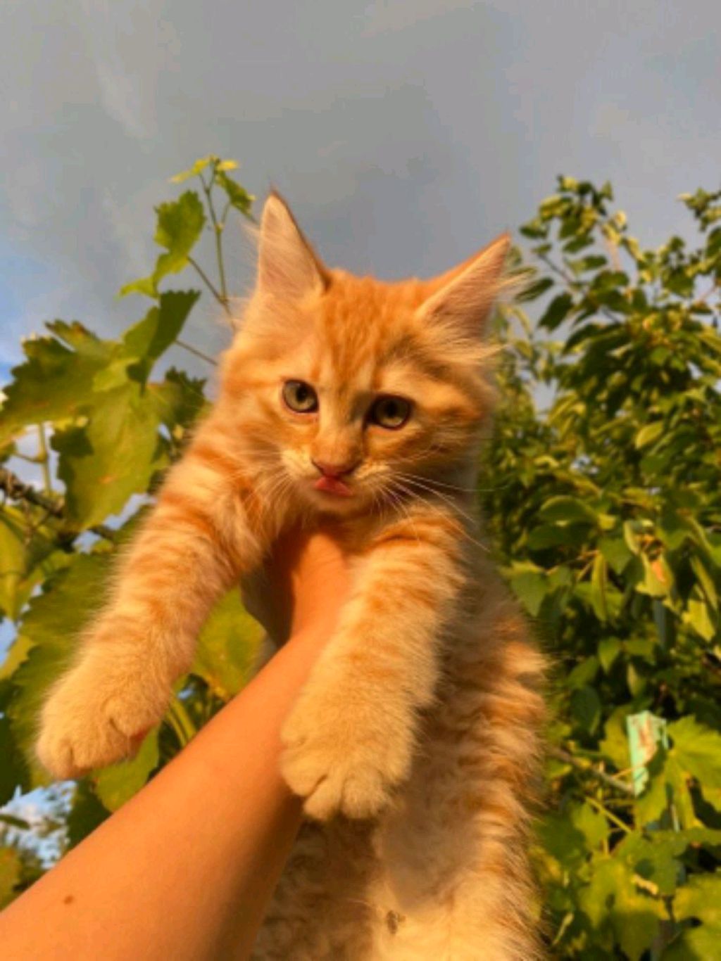 а что писать то!?!?!?!?