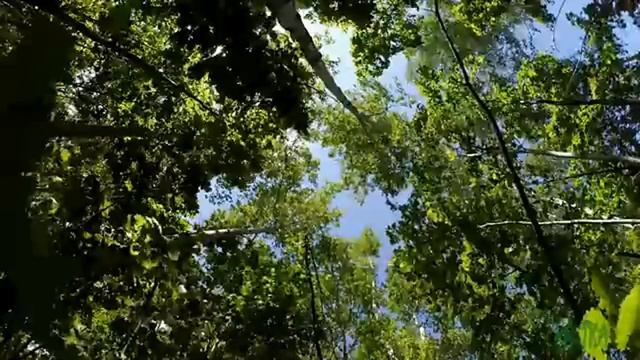 Реальность в незнакомом обличии часть 6.