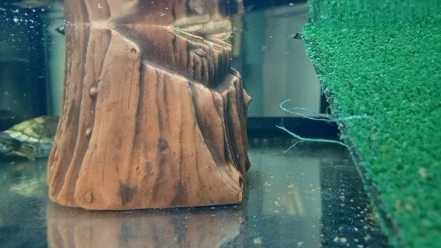 🐢черепашки 4 часть🐢