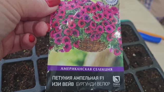 Посев перца сладкого, Петунии, Вербены самым простым способом!🌸