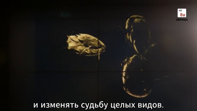 Буктрейлер по книге Ed Yong "I CONTAIN MULTITUDES"