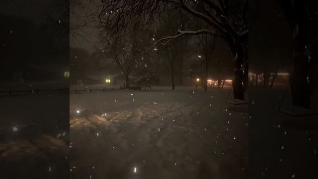 11-02-2025