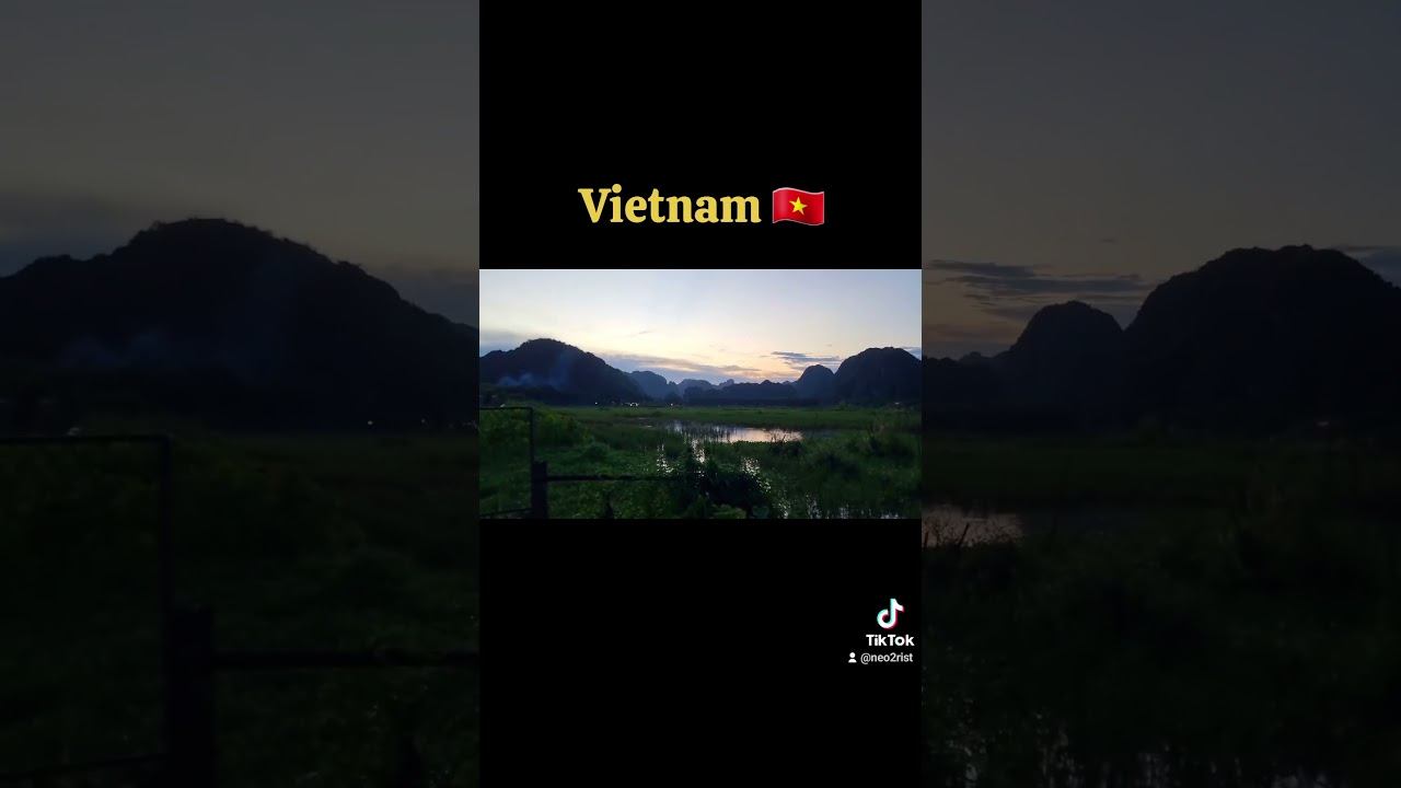 typical vegetable garden in Vietnam
