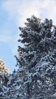 АКЦИЯ «ЗИМНЯЯ СКАЗКА - РУЧНАЯ ПЛАСТИКА - ВСЁ ПО 30!»