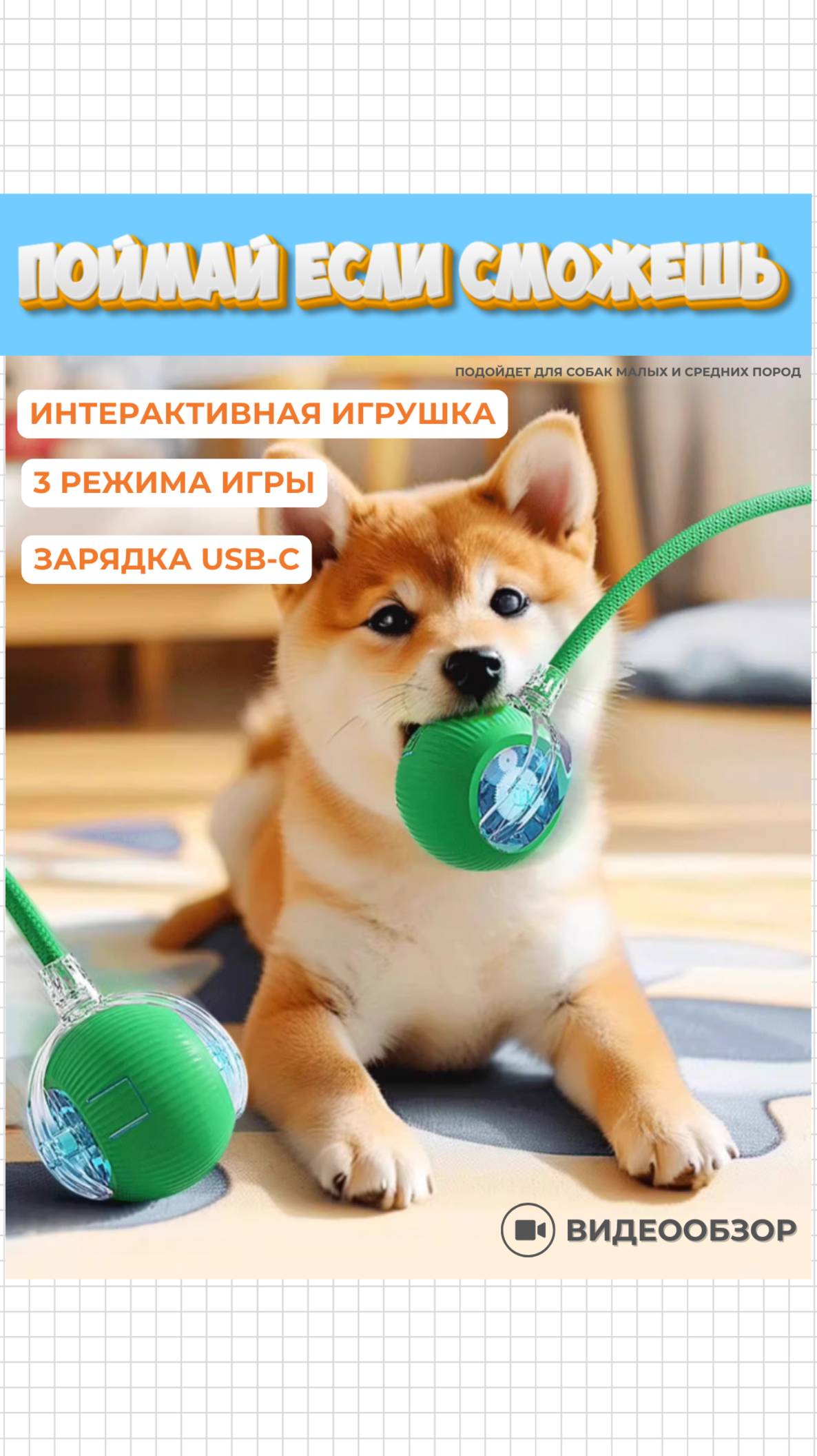 Поймай если сможешь / товары Cosmopolitan