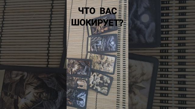 ЧТО ВАС ШОКИРУЕТ ?