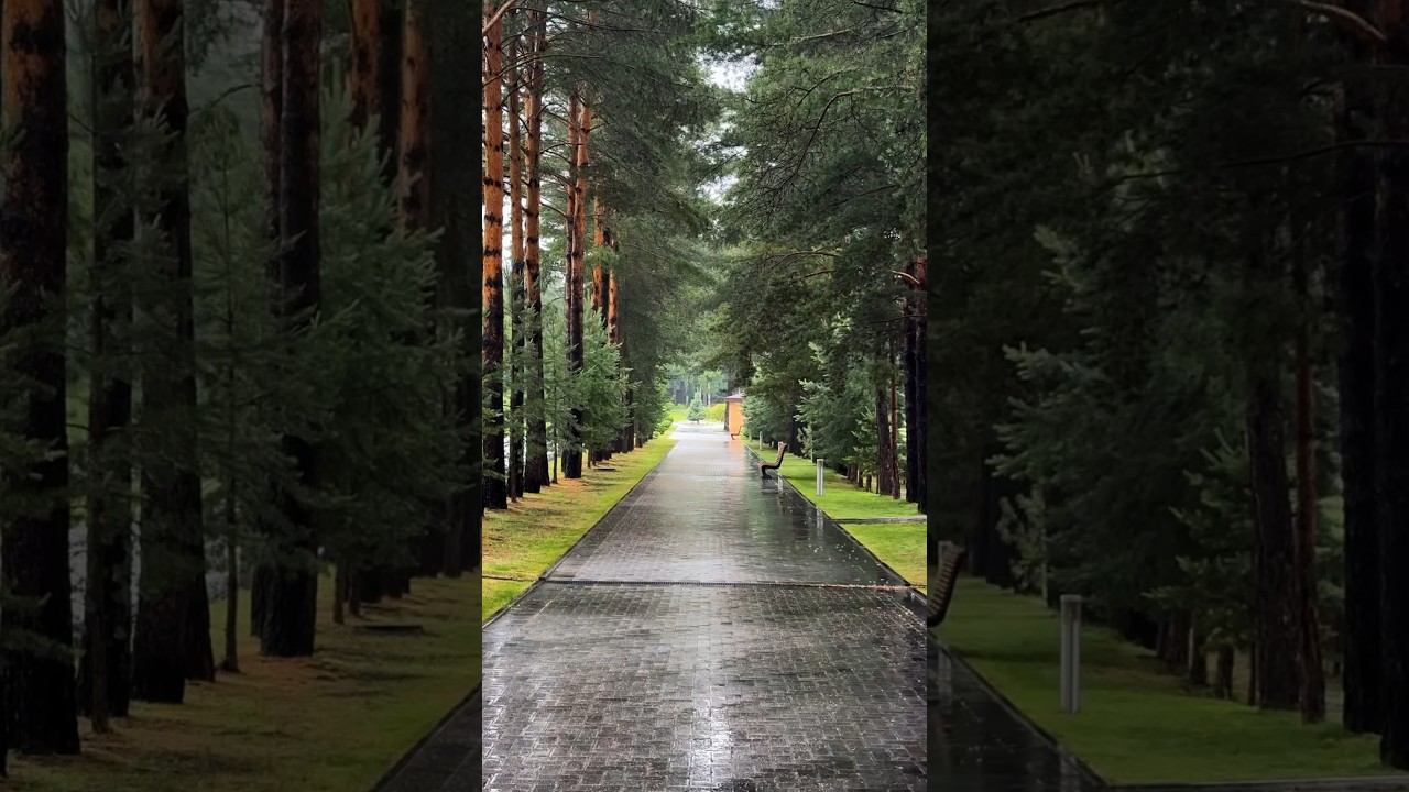 Дом в топовом поселке Иркутска #иркутск #байкал #недвижимостьбайкал #байкальскийтракт