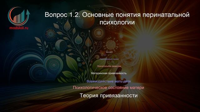 Перинатальная психология. Профпереподготовка. Лекция. Профессиональная переподготовка для всех!