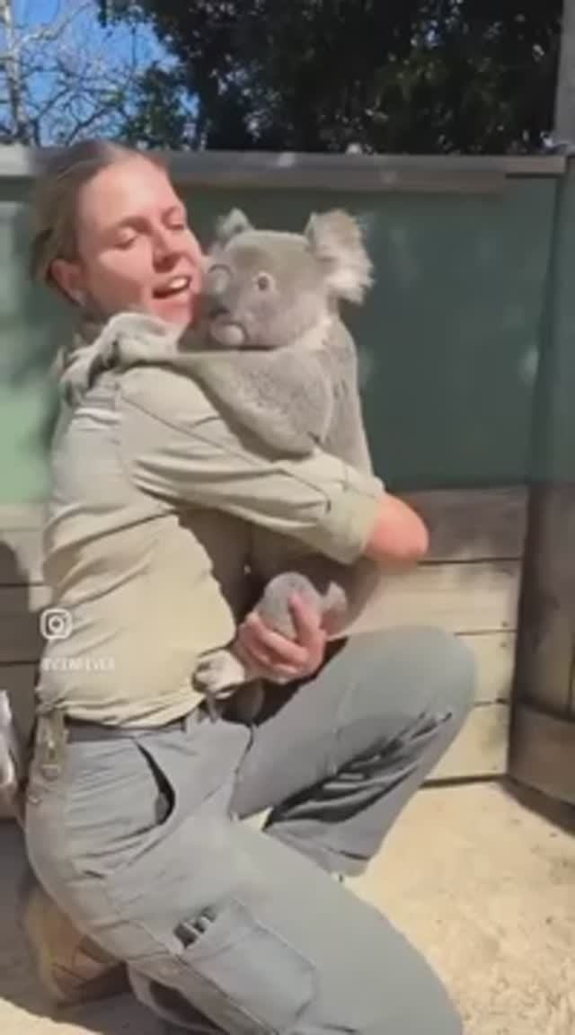 Всем нужна любовь.