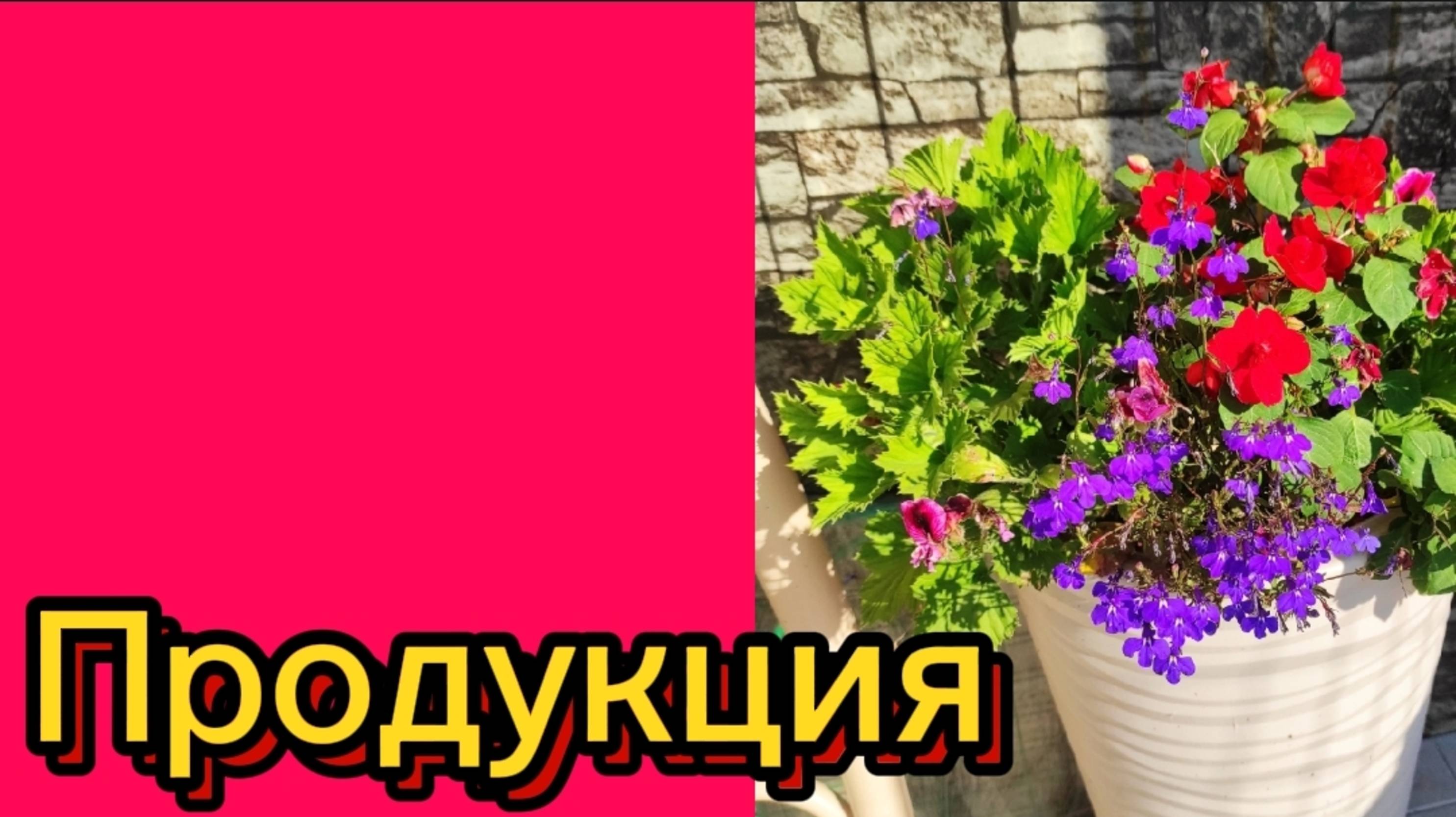 ДЕРЕВЕНСКИЙ ДНЕВНИК. Уработались.