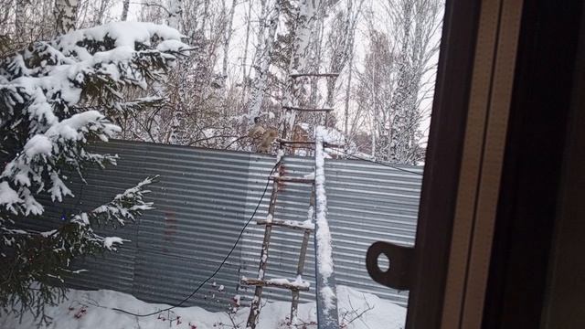 1000378125.mp4