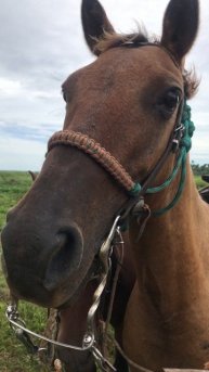 Куба. Джип-сафари