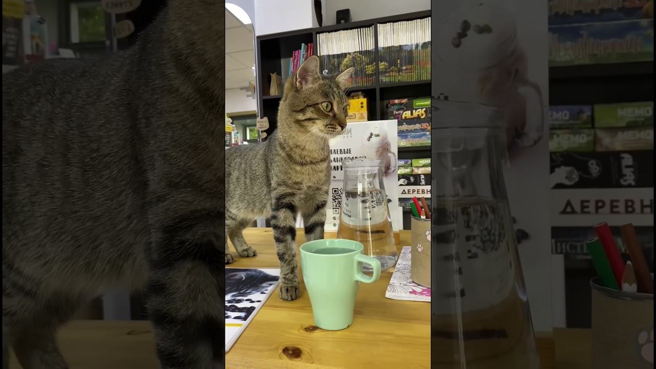 Дерзкий Гладиолус