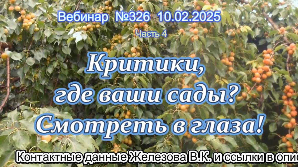 Железов Валерий. Вебинар 326. ч.4. Критики, где ваши сады? Смотреть в глаза!