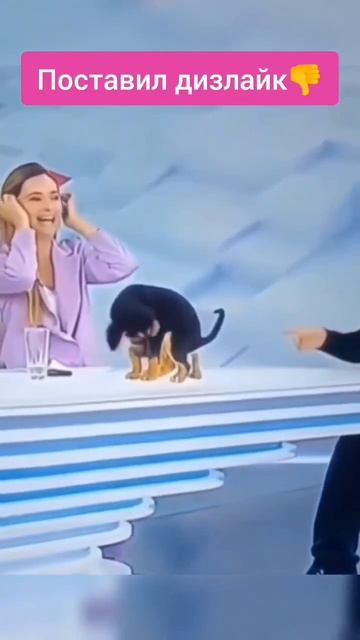 Этот эфир им запомнится надолго 😂