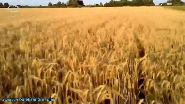 ЛУЧШИЙ ХИТ НЕДЕЛИ! НОВИНКА 2024! ПЕСНЯ УЛЁТНАЯ! ВЛАД ПОРФИРОВ
