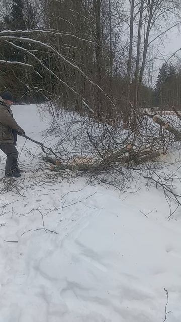 10.02.25 Лесное озеро ч. 2