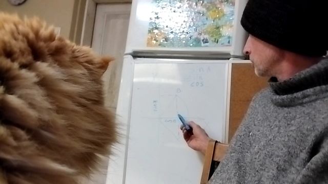 Что такое косинус?