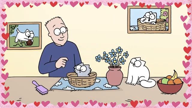 Как праздновать день влюбленных| Смешные котики