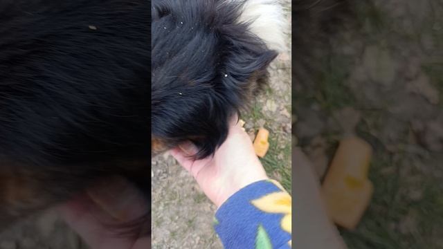 1000001490.mp4