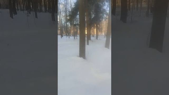 VID-20250211-WA0026
