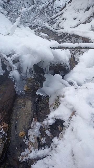 всем добрейшего утречка