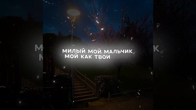 11-02-2025