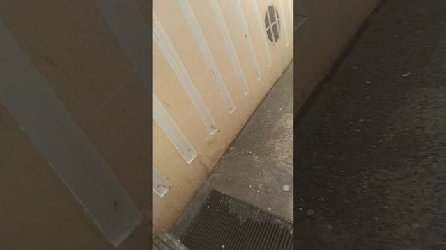 VID_20250207_100451.mp4