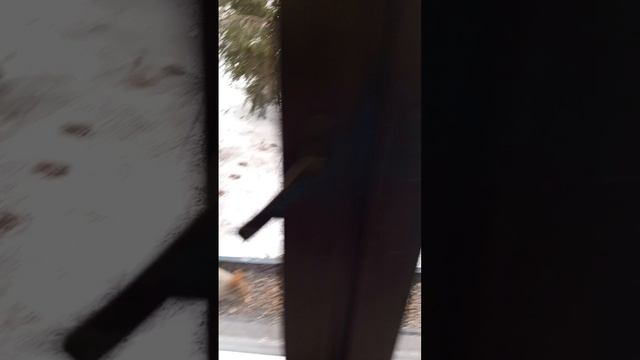 1000378231.mp4