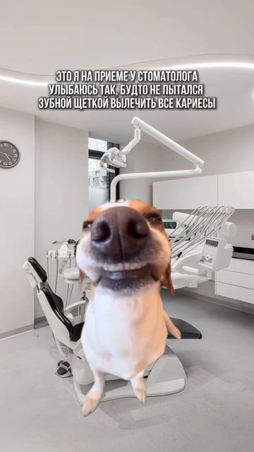 Кто узнал себя?😅