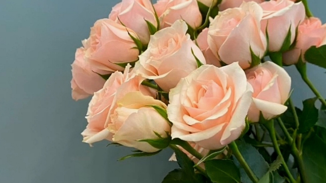 💕😘💐 С Днём рождения, доченька!