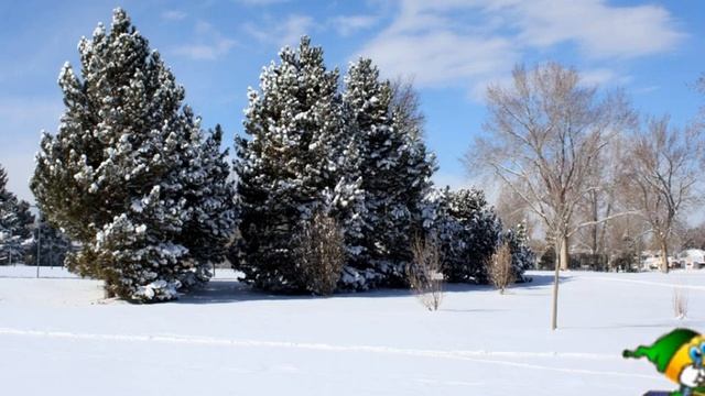Лыжня и пень Михалков
