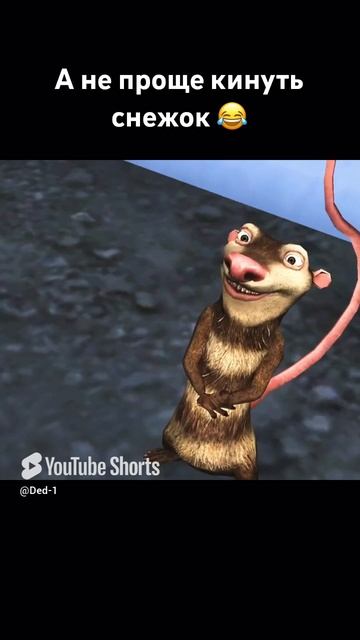 11 февраля 2025 г.