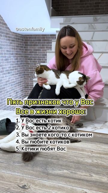 Все хорошо #кототерапия#кошечки#приколыкоты#котыприколы#astenfamily#котик