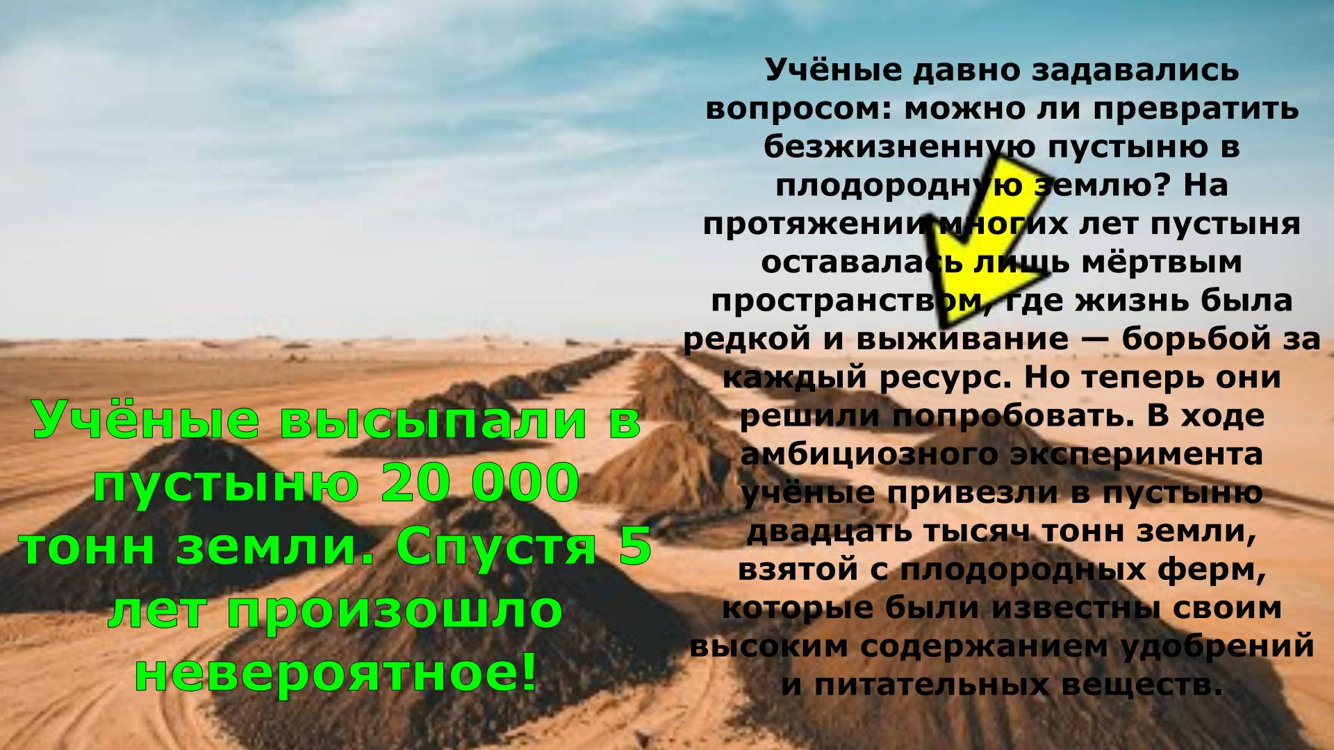 Учёные высыпали в пустыню 20 000 тонн земли. Спустя 5 лет произошло невероятное!