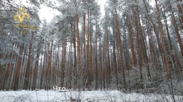 Глянцевый след. Стих Виктории Д'Мора (Прогулка в зимнем лесу)