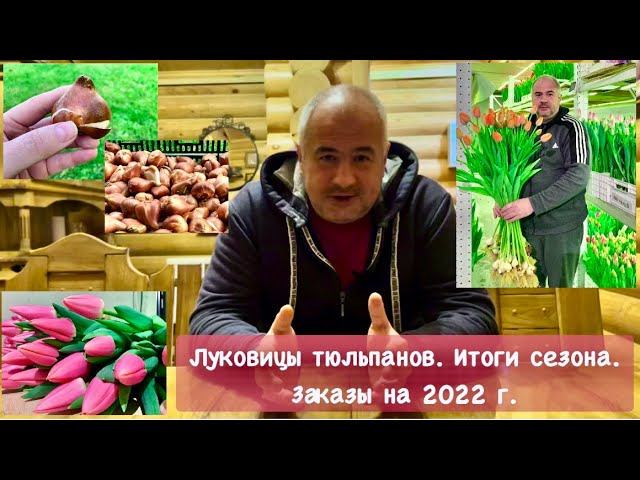 Луковицы тюльпанов. Итоги сезона 2021. Заказы на 2022 г.