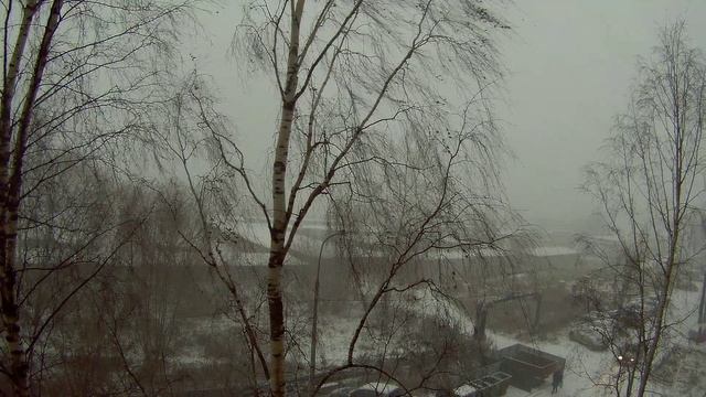 метель18г