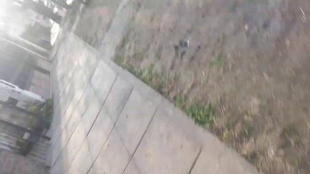 Matando hormigas