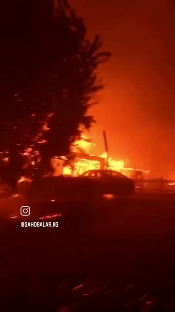 абдуллох домла