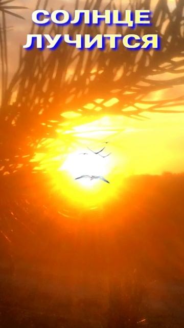 СОЛНЦЕ ЛУЧИТСЯ 🌞🌏😇